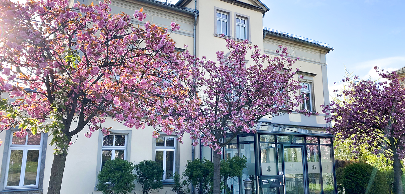 Ansicht des Gebäudes der Lehleiter + Partner Kanzlei in Dresden auf der Bautzner Straße 120 mit blühenden Kirschbäumen.